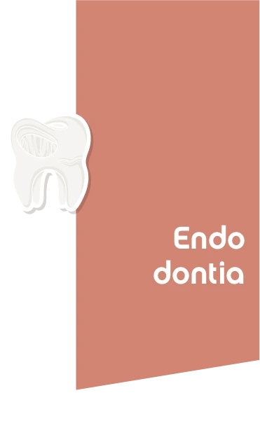 Salvar um dente é preservar sua história.